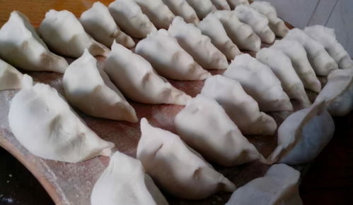 冰箱存饺有妙招，简单一步保鲜月余